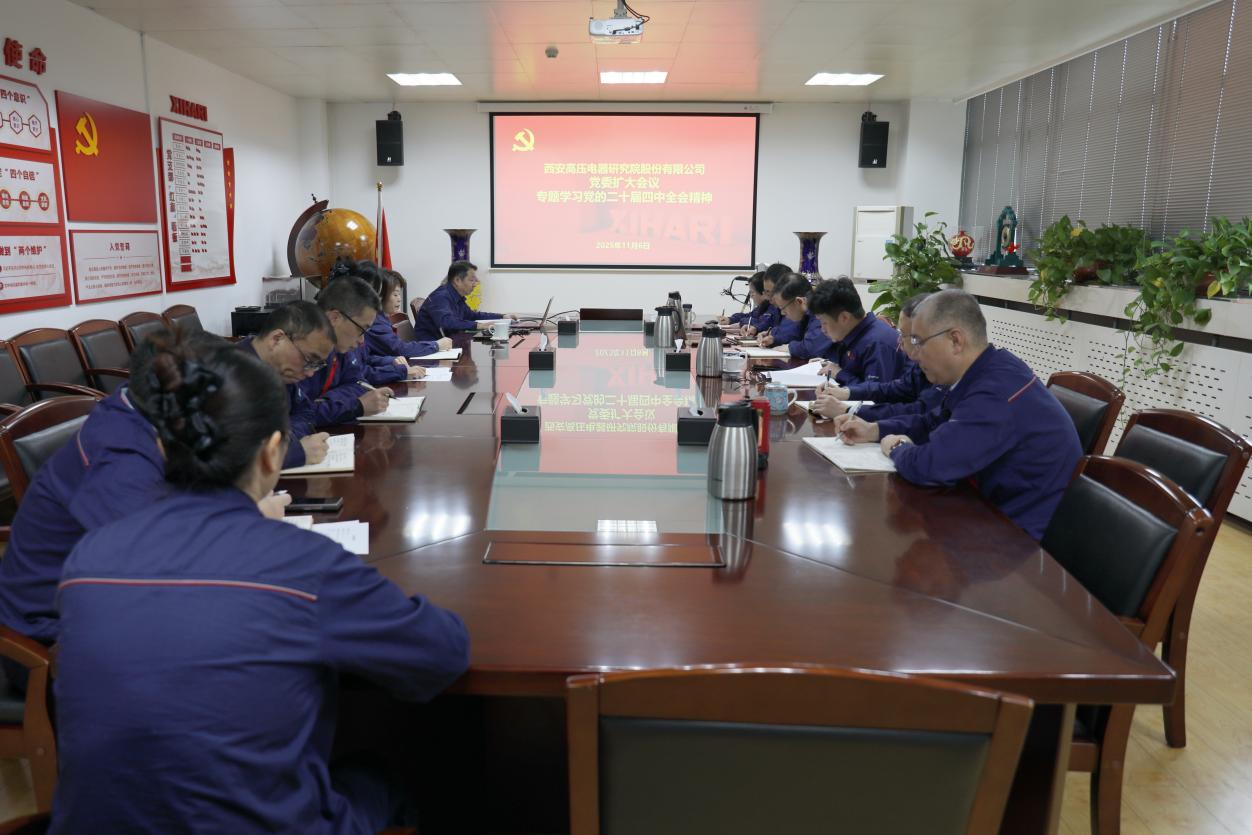 1106党委会_副本